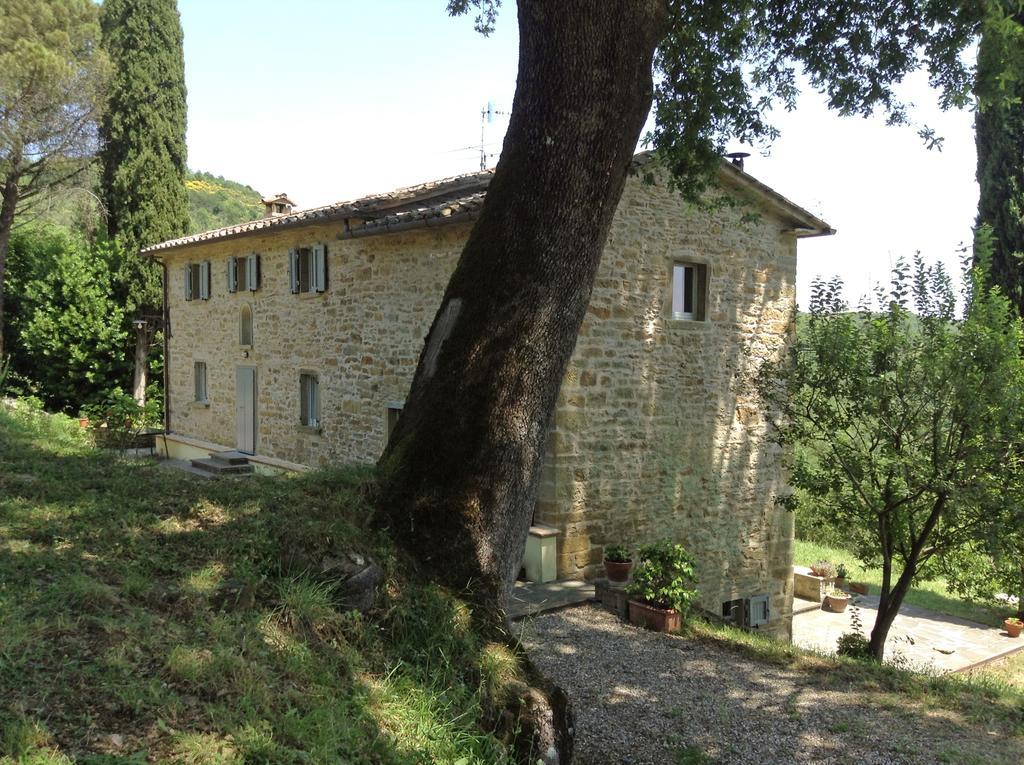 Guest house La Doccia 2*
